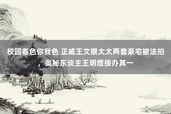 校园春色你我色 正威王文银太太两套豪宅被法拍，奥秘东谈主王明煜接办其一