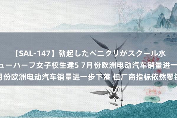 【SAL-147】勃起したペニクリがスクール水着を圧迫してしまうニューハーフ女子校生達5 7月份欧洲电动汽车销量进一步下落 但厂商指标依然矍铄