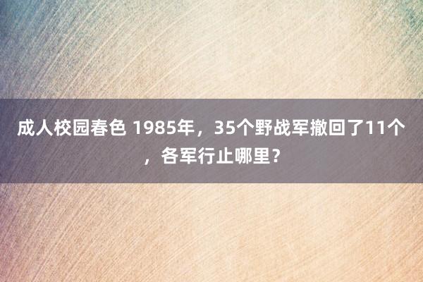 成人校园春色 1985年，35个野战军撤回了11个，各军行止哪里？