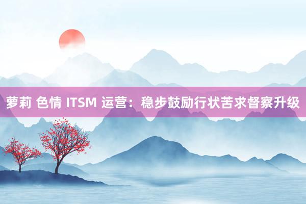 萝莉 色情 ITSM 运营:稳步鼓励行状苦求督察升级