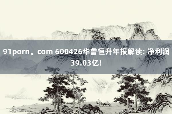 91porn。com 600426华鲁恒升年报解读: 净利润39.03亿!