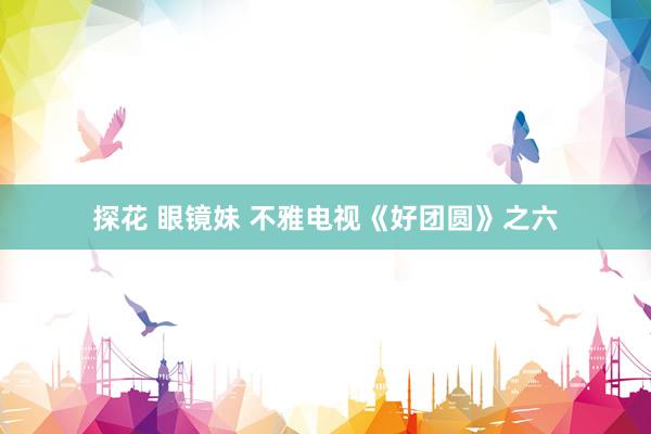 探花 眼镜妹 不雅电视《好团圆》之六