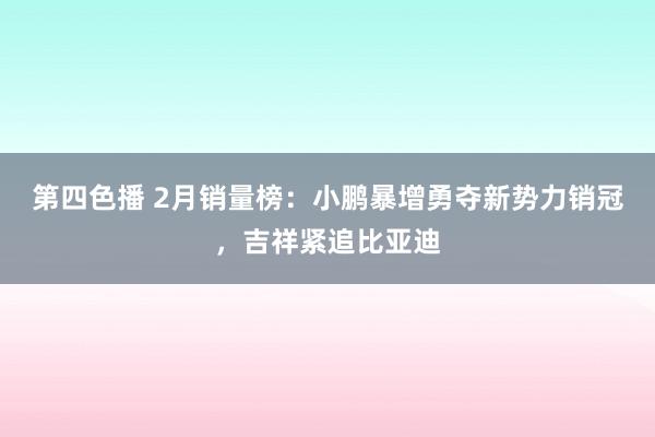 第四色播 2月销量榜：小鹏暴增勇夺新势力销冠，吉祥紧追比亚迪