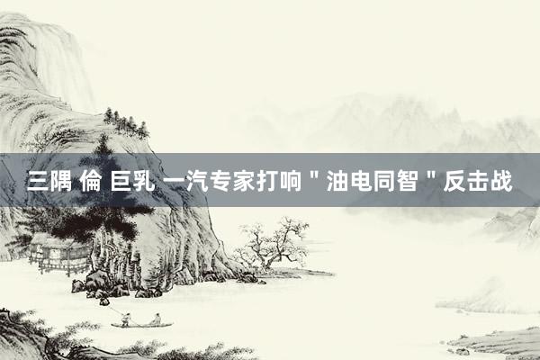 三隅 倫 巨乳 一汽专家打响＂油电同智＂反击战