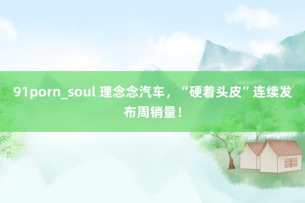 91porn_soul 理念念汽车，“硬着头皮”连续发布周销量！